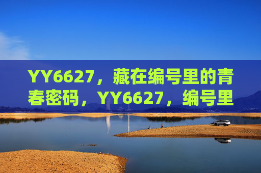 YY6627，藏在编号里的青春密码，YY6627，编号里的青春密码