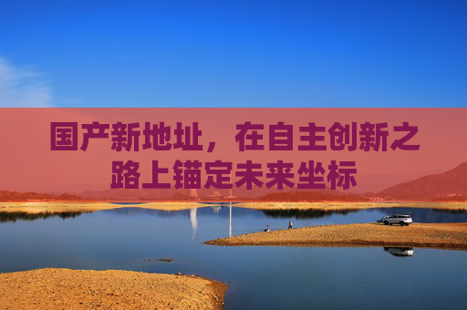 国产新地址，在自主创新之路上锚定未来坐标