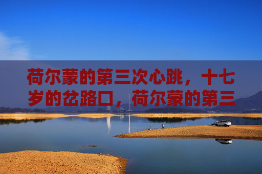 荷尔蒙的第三次心跳,十七岁的岔路口,荷尔蒙的第三次心跳,十七岁的岔路口 荷尔蒙的第三次心跳,十七岁的岔路口,荷尔蒙的第三次心跳,十七岁的岔路口
