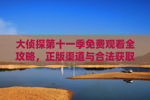 大侦探第十一季免费观看全攻略，正版渠道与合法获取指南，大侦探第十一季免费观看全攻略，正版渠道与合法获取指南