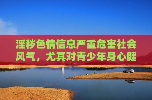 淫秽色情信息严重危害社会风气，尤其对青少年身心健康造成极大损害，容易诱发违法犯罪行为。国家始终对网络淫秽色情信息保持高压打击态势，相关部门持续开展净网等专项行动，严厉打击相关违法犯罪活动，国家持续高压打击网络淫秽色情信息 严护青少年身心健康