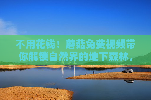 不用花钱!蘑菇免费视频带你解锁自然界的地下森林,免费视频,蘑菇带你解锁地下森林奇观 不用花钱!蘑菇免费视频带你解锁自然界的地下森林,免费视频,蘑菇带你解锁地下森林奇观