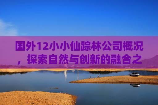 国外12小小仙踪林公司概况,探索自然与创新的融合之路,国外小小仙踪林公司,自然与创新的融合探索 国外12小小仙踪林公司概况,探索自然与创新的融合之路,国外小小仙踪林公司,自然与创新的融合探索