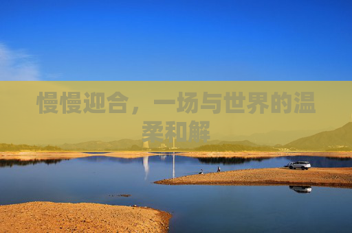 慢慢迎合,一场与世界的温柔和解 慢慢迎合,一场与世界的温柔和解