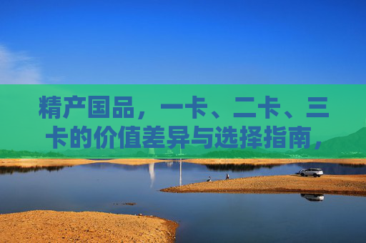 精产国品，一卡、二卡、三卡的价值差异与选择指南，精产国品一卡至三卡价值差异与选择指南
