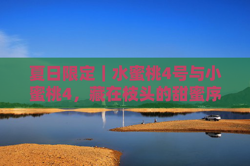 夏日限定|水蜜桃4号与小蜜桃4,藏在枝头的甜蜜序曲,夏日限定|水蜜桃4号与小蜜桃4,藏在枝头的甜蜜序曲 夏日限定|水蜜桃4号与小蜜桃4,藏在枝头的甜蜜序曲,夏日限定|水蜜桃4号与小蜜桃4,藏在枝头的甜蜜序曲