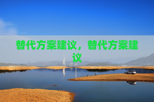 替代方案建议，替代方案建议