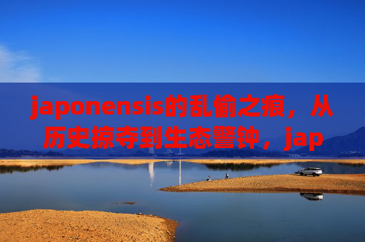 japonensis的乱偷之痕，从历史掠夺到生态警钟，japonensis的乱偷之痕，从历史掠夺到生态警钟