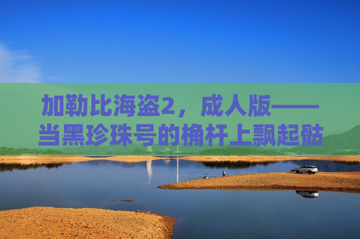 加勒比海盗2，成人版——当黑珍珠号的桷杆上飘起骷髅旗，这一次，只属于成年人的深海狂想，加勒比海盗2，成人版·骷髅旗下的深海狂想