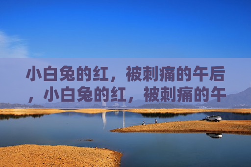 小白兔的红,被刺痛的午后,小白兔的红,被刺痛的午后 小白兔的红,被刺痛的午后,小白兔的红,被刺痛的午后