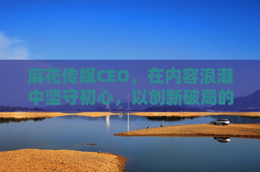 麻花传媒CEO，在内容浪潮中坚守初心，以创新破局的掌舵者，麻花传媒CEO，以初心坚守与创新破局，领航内容浪潮