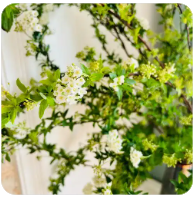 QBZ系列武器伤害测试，数据解析与实战表现