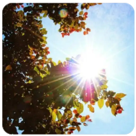 苹果系统无法运行绝地求生（PUBG）的原因及解决方法详解