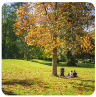 如何查找和使用你的Steam玩家编号（Steam ID）