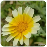 QBZ系列武器伤害测试，数据解析与实战表现