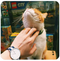 PUBG新模式战术解析，制胜打法与实战技巧全攻略