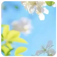 QBZ系列武器伤害测试，数据解析与实战表现