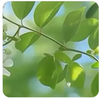 和平精英电量优化全攻略，持久畅玩吃鸡不愁