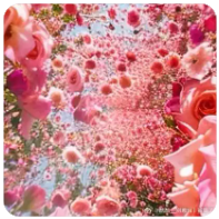 王者荣耀钻石兑换金币高效攻略，快速提升战力技巧