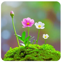 王者荣耀玩家吐槽流程过慢，游戏优化空间引热议