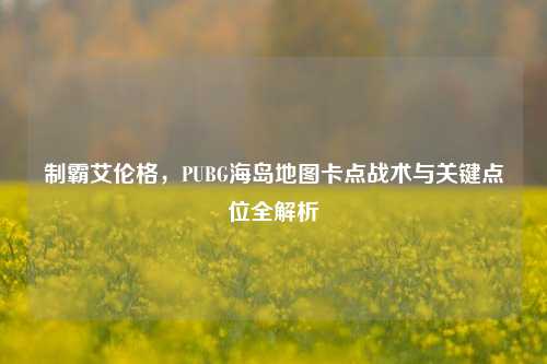 制霸艾伦格，PUBG海岛地图卡点战术与关键点位全解析