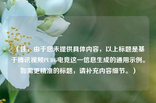 （注，由于您未提供具体内容，以上标题是基于腾讯视频PUBG电竞这一信息生成的通用示例。如需更精准的标题，请补充内容细节。）