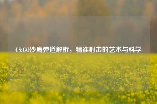 CS:GO沙鹰弹道解析，精准射击的艺术与科学