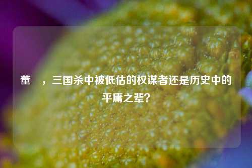 董旻，三国杀中被低估的权谋者还是历史中的平庸之辈？