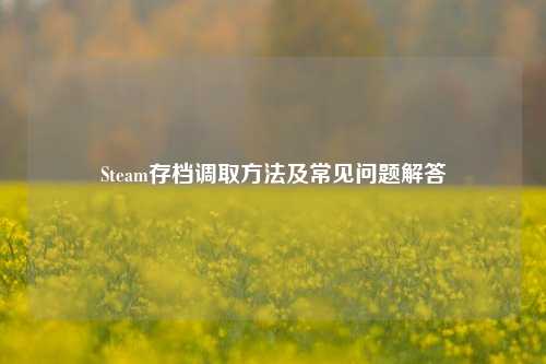 Steam存档调取方法及常见问题解答