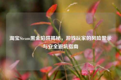 淘宝Steam黑金陷阱揭秘，游戏玩家的风险警示与安全避坑指南