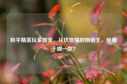 和平精英玩家图鉴，从伏地魔到刚枪王，你属于哪一类？