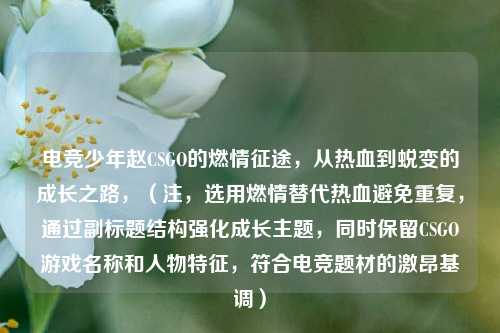 电竞少年赵CSGO的燃情征途，从热血到蜕变的成长之路，（注，选用燃情替代热血避免重复，通过副标题结构强化成长主题，同时保留CSGO游戏名称和人物特征，符合电竞题材的激昂基调）