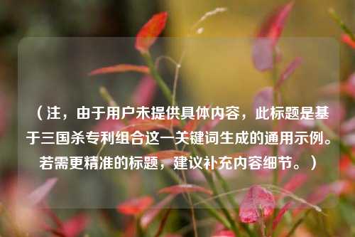 （注，由于用户未提供具体内容，此标题是基于三国杀专利组合这一关键词生成的通用示例。若需更精准的标题，建议补充内容细节。）