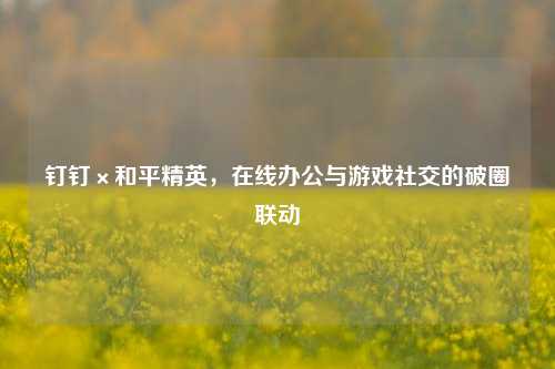钉钉×和平精英，在线办公与游戏社交的破圈联动