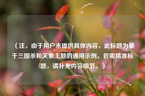 （注，由于用户未提供具体内容，此标题为基于三国杀和关索主题的通用示例。若需精准标题，请补充内容细节。）