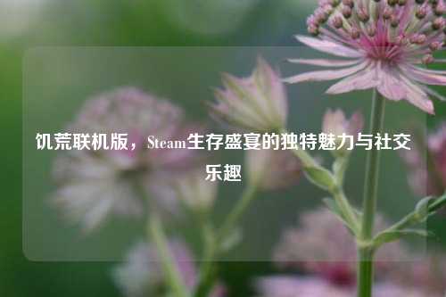 饥荒联机版，Steam生存盛宴的独特魅力与社交乐趣