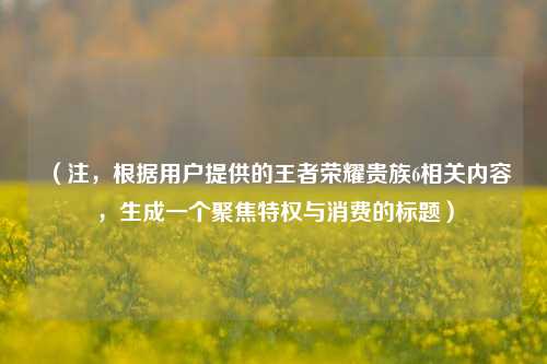 （注，根据用户提供的王者荣耀贵族6相关内容，生成一个聚焦特权与消费的标题）