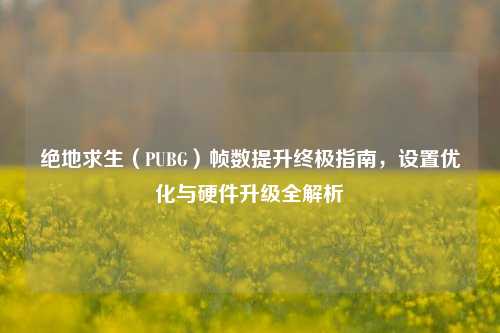 绝地求生（PUBG）帧数提升终极指南，设置优化与硬件升级全解析