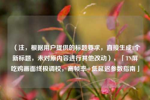 （注，根据用户提供的标题要求，直接生成1个新标题，未对原内容进行其他改动），「TN屏吃鸡画面终极调校，高帧率+低延迟参数指南」