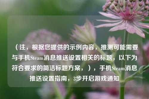 （注，根据您提供的示例内容，推测可能需要与手机Steam消息推送设置相关的标题，以下为符合要求的简洁标题方案，），手机Steam消息推送设置指南，3步开启游戏通知