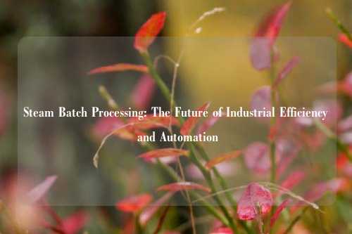 Steam Batch Processing: The Future of Industrial Efficiency and Automation