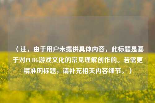 （注，由于用户未提供具体内容，此标题是基于对PUBG游戏文化的常见理解创作的。若需更精准的标题，请补充相关内容细节。）