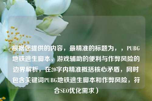 根据您提供的内容，最精准的标题为，，PUBG地铁逃生脚本，游戏辅助的便利与作弊风险的边界解析，在20字内精准概括核心矛盾，同时包含关键词PUBG地铁逃生脚本和作弊风险，符合SEO优化需求）