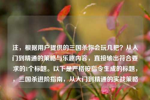 注，根据用户提供的三国杀你会玩几把？从入门到精通的策略与乐趣内容，直接输出符合要求的1个标题。以下是严格按指令生成的标题，，三国杀进阶指南，从入门到精通的实战策略