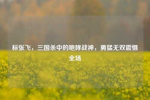 标张飞，三国杀中的咆哮战神，勇猛无双震慑全场