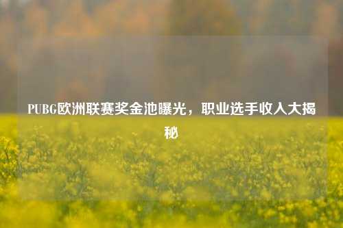 PUBG欧洲联赛奖金池曝光，职业选手收入大揭秘