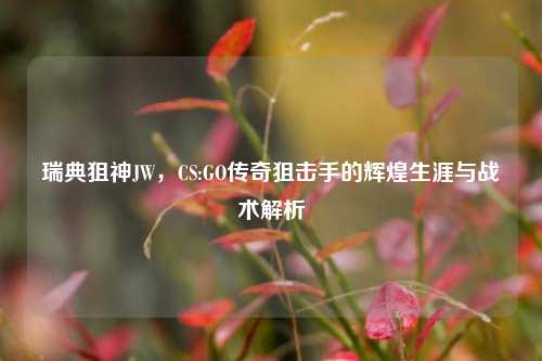 瑞典狙神JW，CS:GO传奇狙击手的辉煌生涯与战术解析