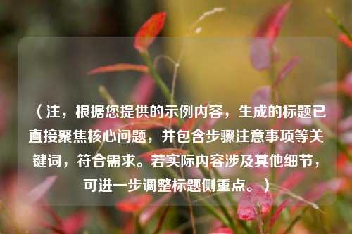 （注，根据您提供的示例内容，生成的标题已直接聚焦核心问题，并包含步骤注意事项等关键词，符合需求。若实际内容涉及其他细节，可进一步调整标题侧重点。）