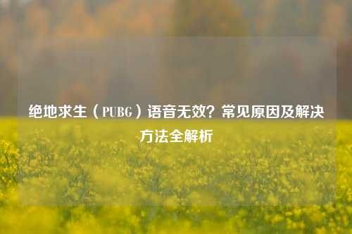 绝地求生（PUBG）语音无效？常见原因及解决方法全解析