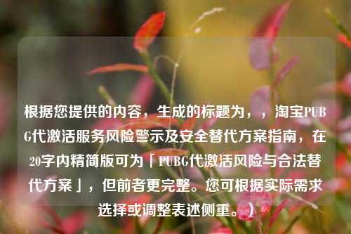 根据您提供的内容，生成的标题为，，淘宝PUBG代激活服务风险警示及安全替代方案指南，在20字内精简版可为「PUBG代激活风险与合法替代方案」，但前者更完整。您可根据实际需求选择或调整表述侧重。）